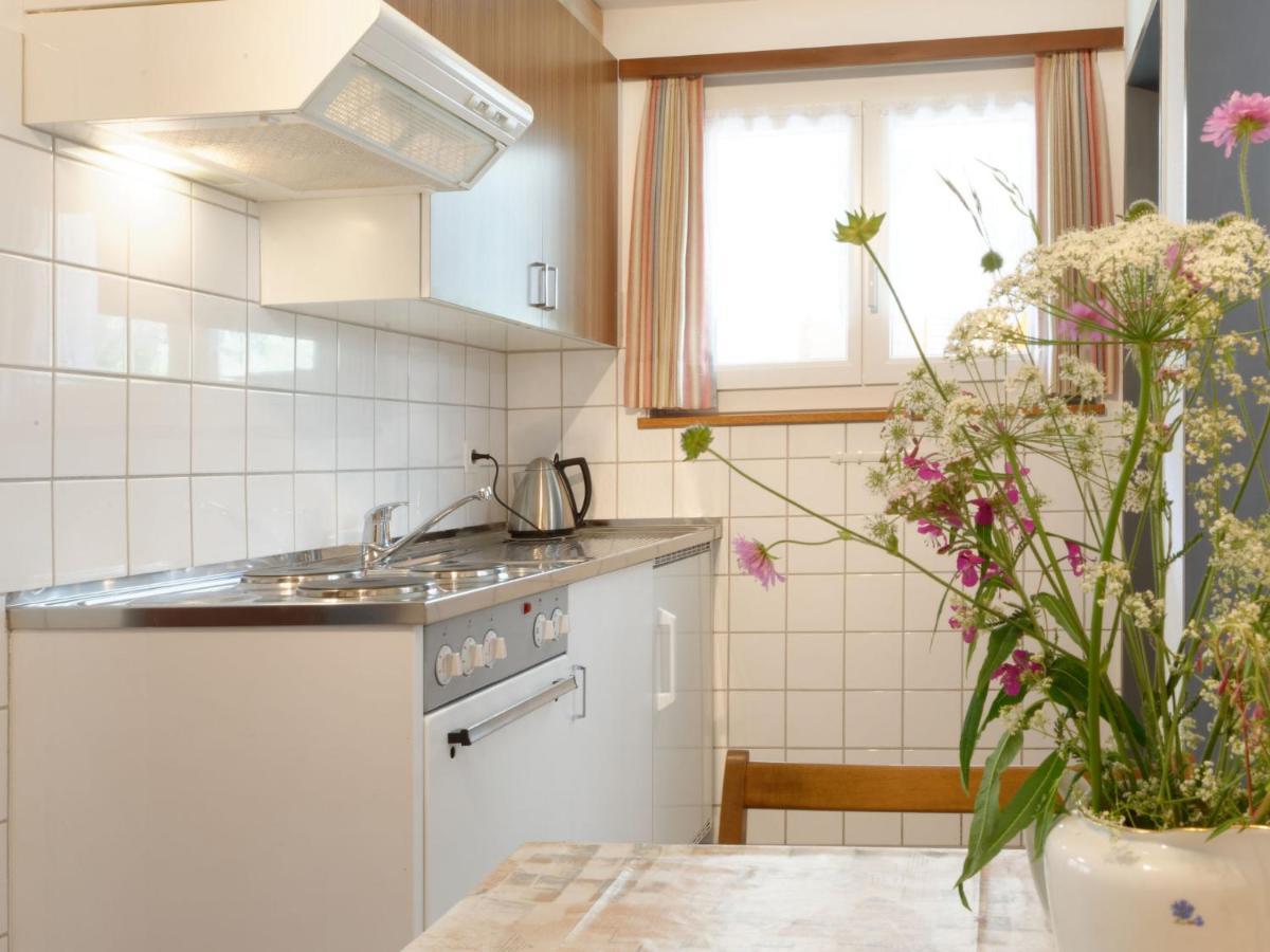 Apartment Hubertus-1 By Interhome Zermatt Dış mekan fotoğraf